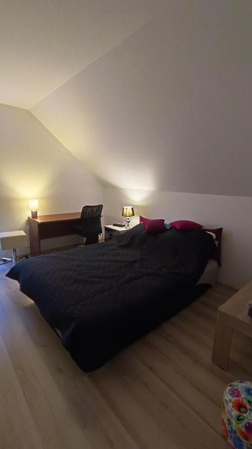 Komfortowe Noclegi Szalsza Экстерьер фото